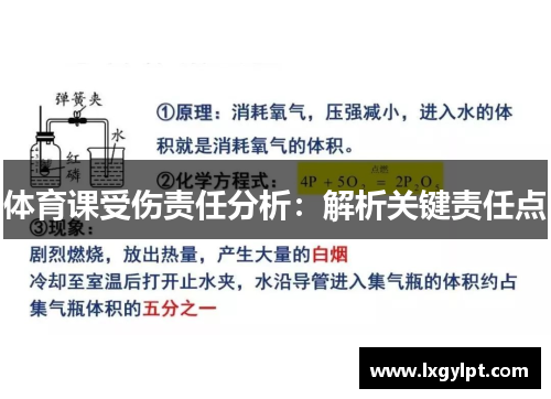 体育课受伤责任分析：解析关键责任点