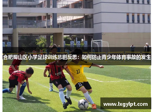 合肥蜀山区小学足球训练悲剧反思：如何防止青少年体育事故的发生