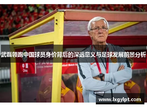 武磊领跑中国球员身价背后的深远意义与足球发展前景分析