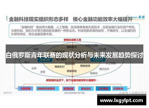 白俄罗斯青年联赛的现状分析与未来发展趋势探讨